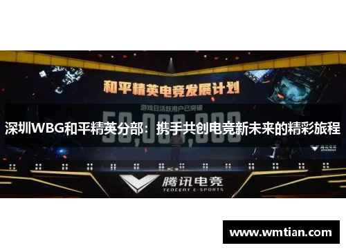 深圳WBG和平精英分部：携手共创电竞新未来的精彩旅程